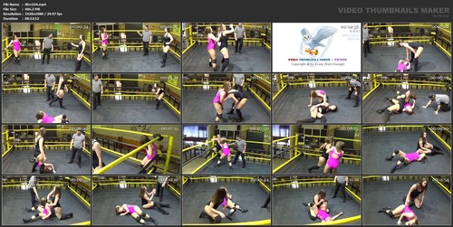 Product picture Diana Taylor vs Rock C